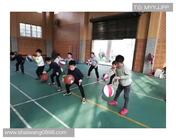 小学篮球课件设计与教学策略探讨促进学生身心健康发展